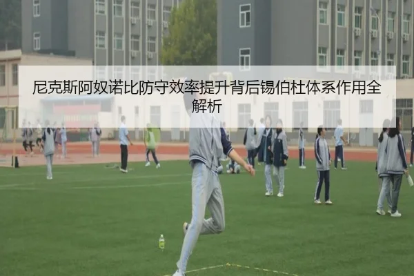 尼克斯阿奴诺比防守效率提升背后锡伯杜体系作用全解析